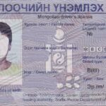 Перевод монгольского паспорта