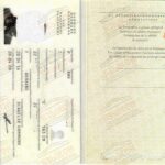 Перевод датского паспорта