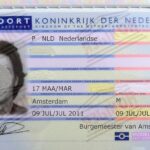 Перевод паспорта Нидерландов